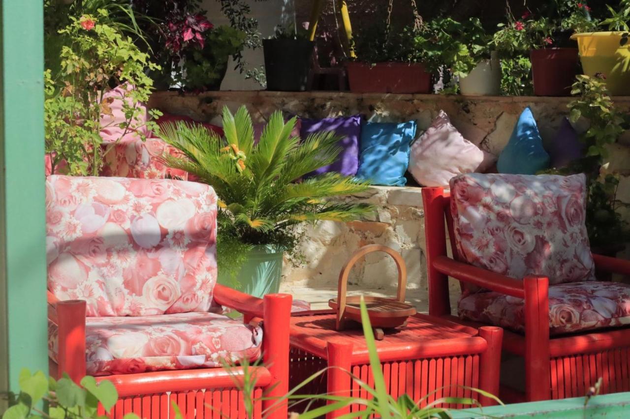 بيت الطبيعة Nature House ジャラシュ エクステリア 写真