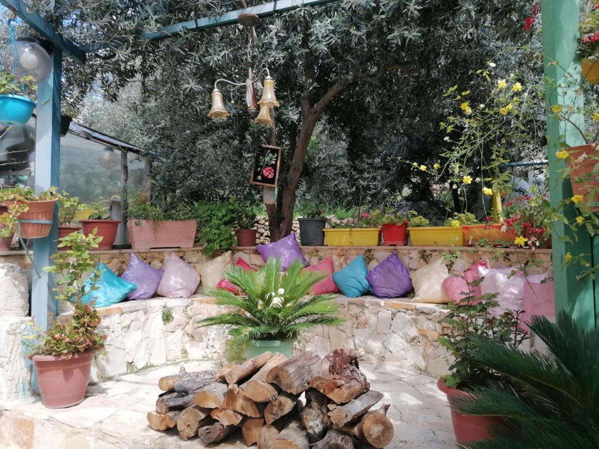 بيت الطبيعة Nature House ジャラシュ エクステリア 写真