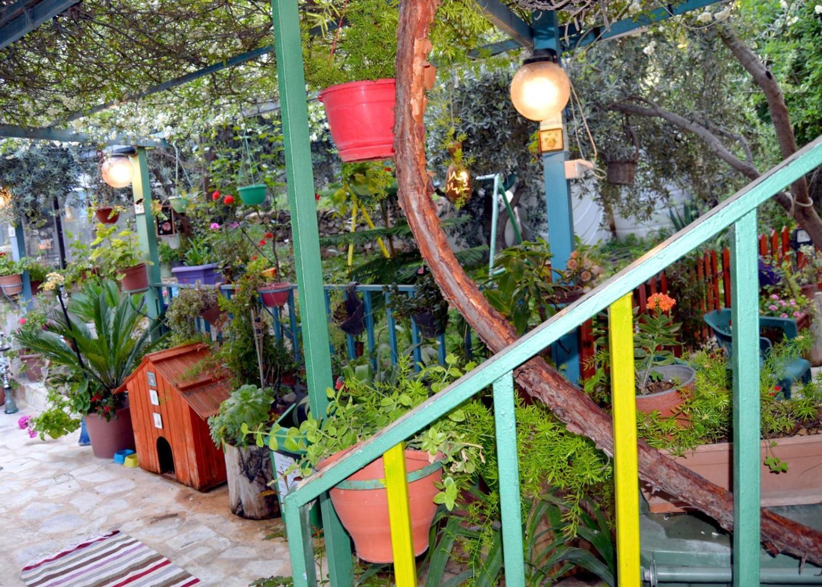 بيت الطبيعة Nature House ジャラシュ 部屋 写真
