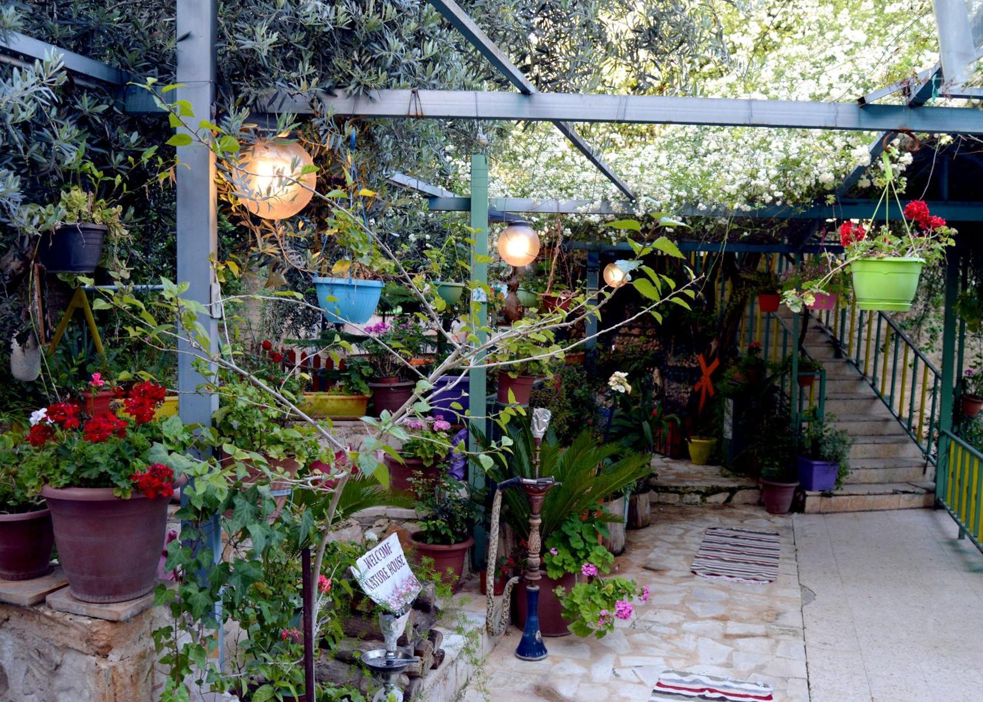 بيت الطبيعة Nature House ジャラシュ エクステリア 写真